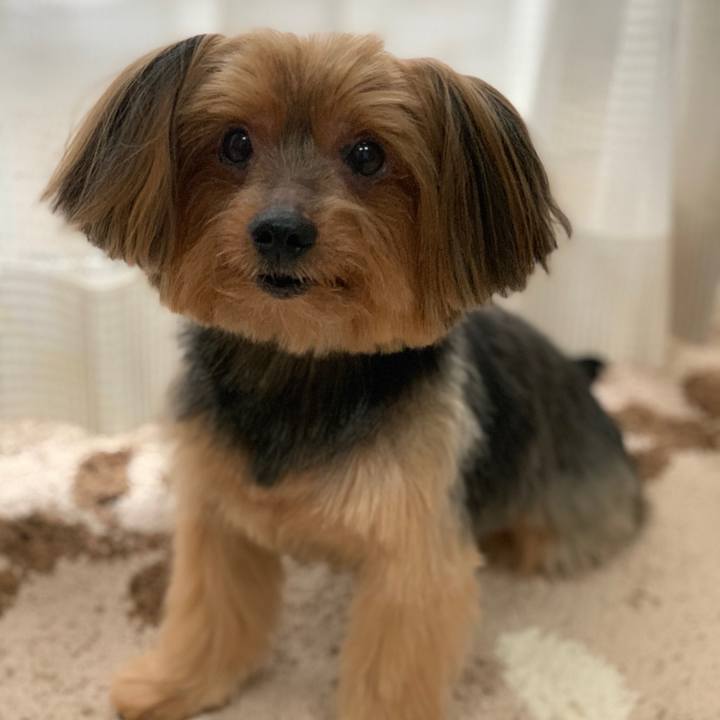 3c6a819c f176 45b8 b9e1 905cac4a67de 1583119749505