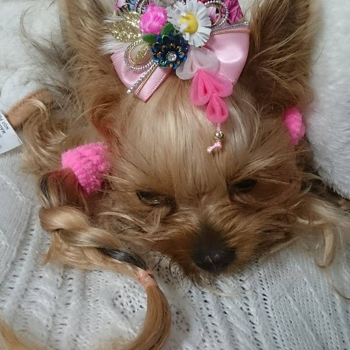 3c6aa2bc 70e2 4dc4 9e60 db495b497be4 1641689812601