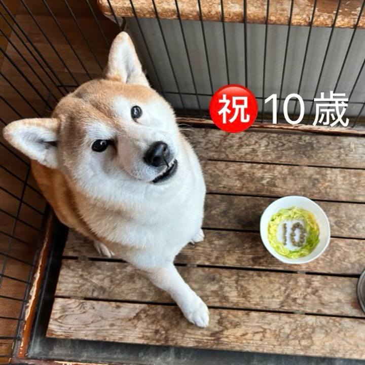 3c6ae61a 46bd 4844 916a 004bda914b34 1771244029498