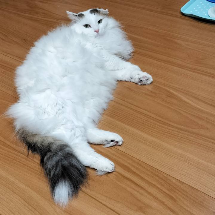 3c6b629e 4baa 4304 92e5 ab42bccf5e6b 1770292241118