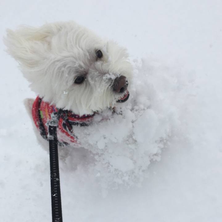 3c6b79b2 a9ec 41a8 9a09 f3d8a10c51f8 1635916006764