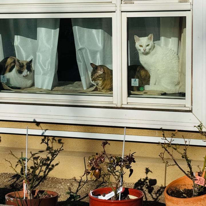 3c6bc81a c634 48ac bdd8 42eb192d9eb2 1771467704454