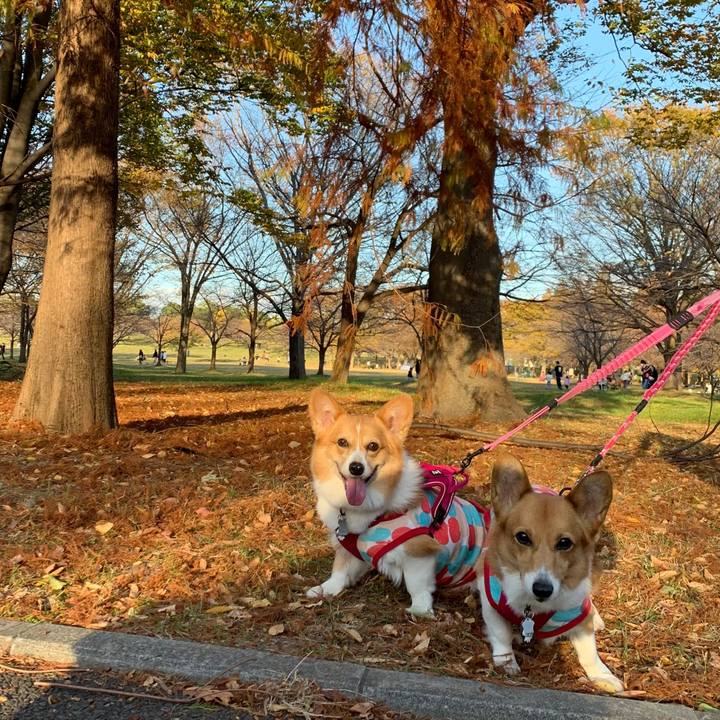 3c6c2668 2cf5 4fd2 9777 24c8c13b3eab 1606029042274