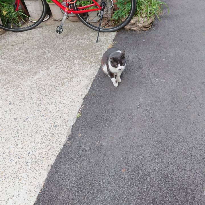 3c6c2c1e 95f1 4279 b2e1 eef50cb3458c 1620720651439