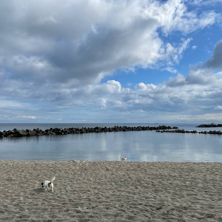 3c6c4322 26be 49c6 bde1 faf260fc205d 1656890619647