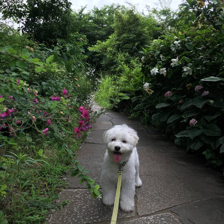 3c6cb889 07e9 4c5d b7a5 d20ce07d6e4d 1561600162284