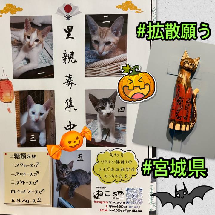 3c6cca93 8c94 4fd0 9721 dd4f26365a21 1761367785036