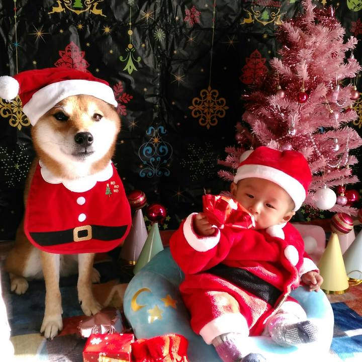 3c6ce690 48b2 43bd a8a6 cefe55084749 1543903669759