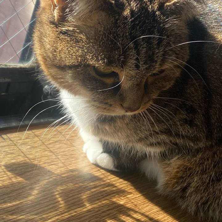 3c6d4f2f df39 4d77 890f a437c50ec076 1671845280962