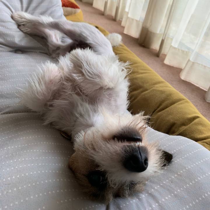 3c6d5242 45cd 4b12 b2e3 75682e1dc23f 1593249906543