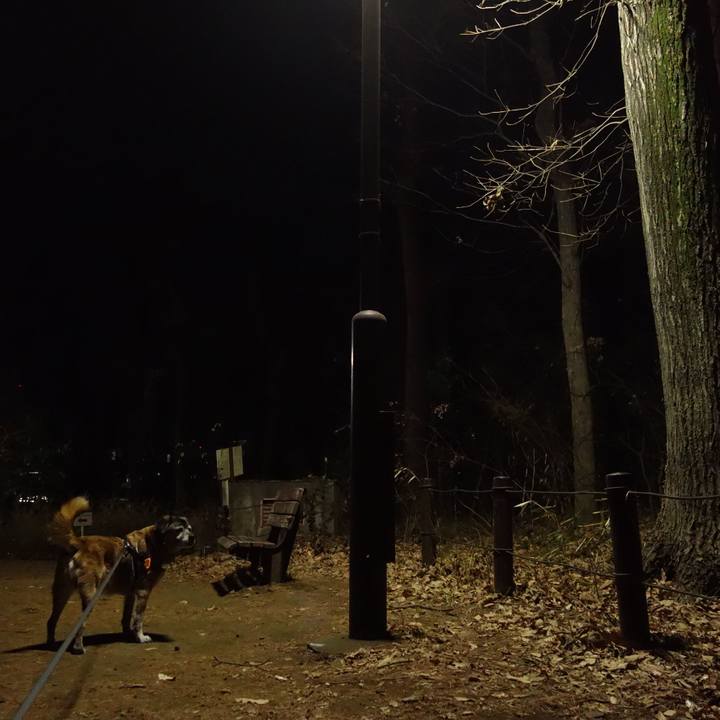 3c6d9387 891e 4ead 9212 72f4553c8131 1548585747740