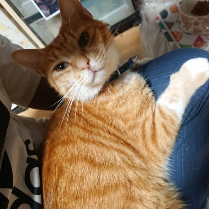 3c6deecf 150b 4aef ab45 60f80b722fe6 1600550360563