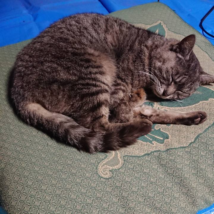 3c6e087a 1ba4 430c 97e8 4beab706dec9 1557825387357