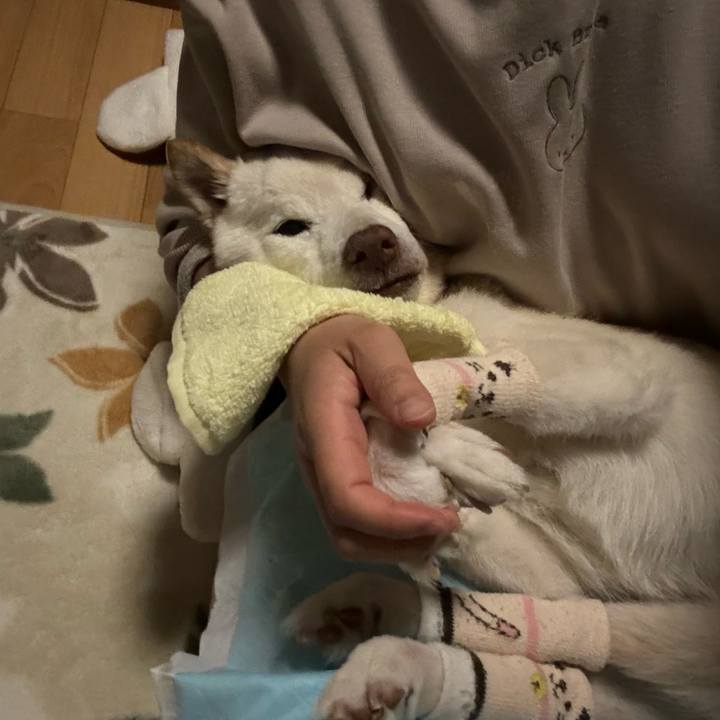 3c6e510e f99f 422f a416 aee9138cdf07 1704727045011