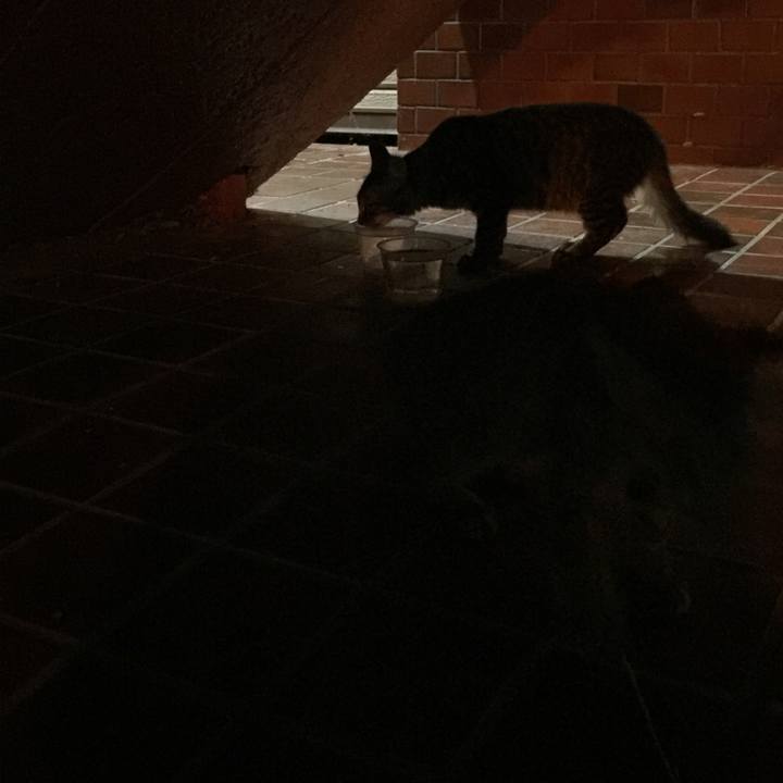 3c6e615e 6649 45aa 9374 3b60cc786a00 1546147545499