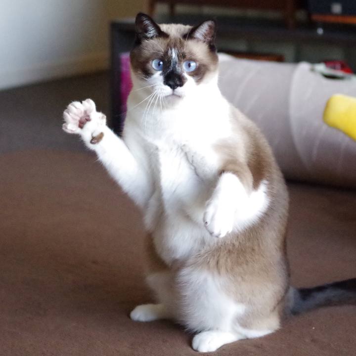 3c6e7546 6f80 44ab 8b2c 12a0cd8a7b79 1565326582264