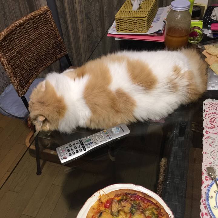 3c6e822f a9a5 4465 915d b48bded61b3a 1534075271287