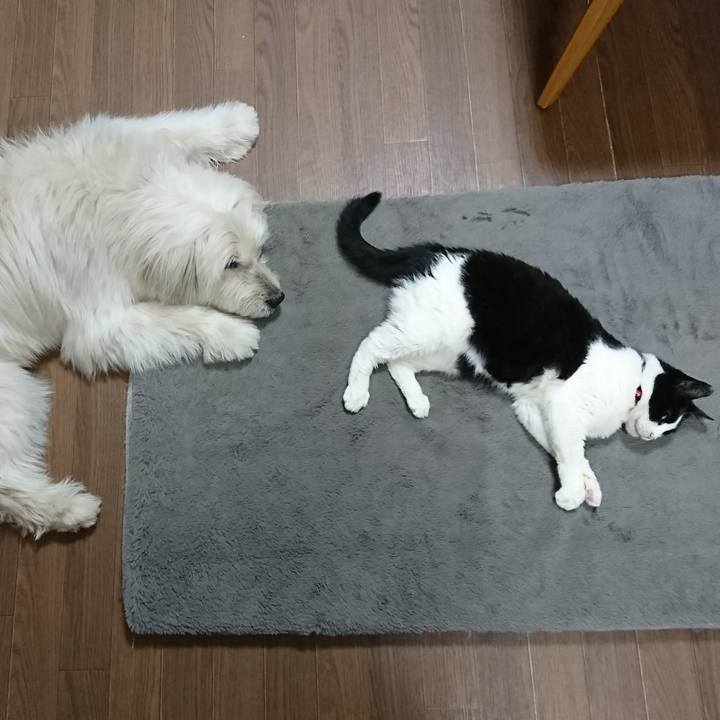 3c6eb0bf 934f 4bbb a57b e868ff5d0bd6 1580722613346