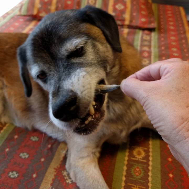 3c6ecc65 5ee3 44a8 a6c8 a3d3bad3cbe1 1538551553416