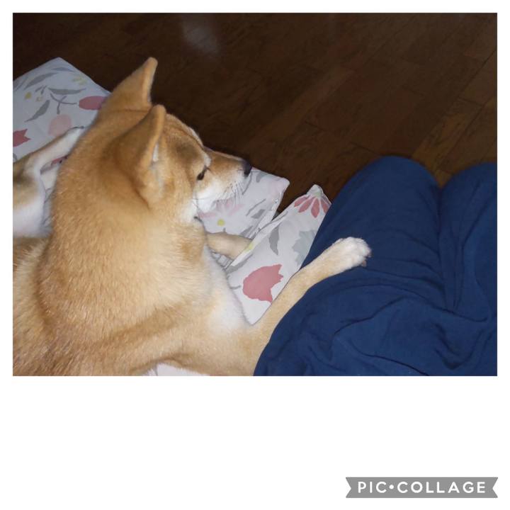 3c6ed63c 0222 4b87 8930 eb950e753610 1693810020809