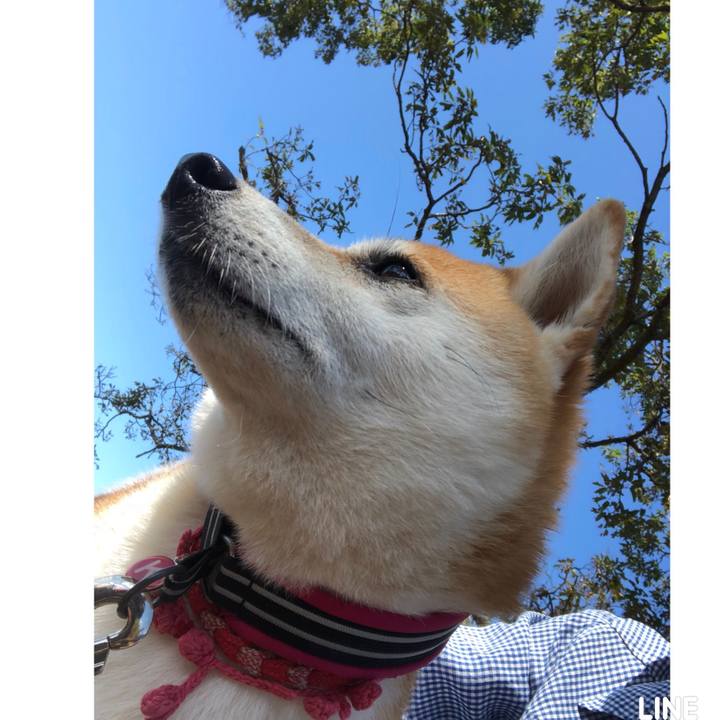 3c6f261f 8450 4532 aa9f 7927a8eff14b 1538307824933