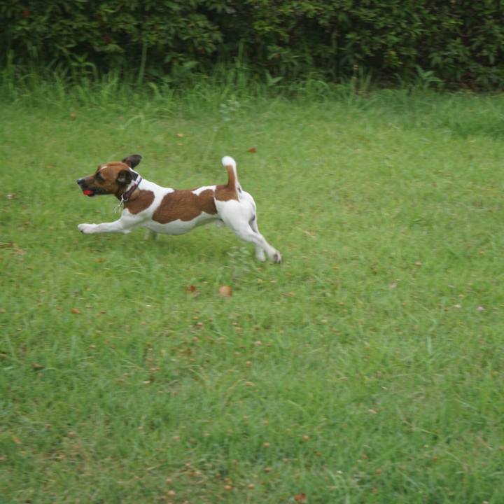 3c6f83da 3aef 49ec 993d 7309f625b857 1532559198764