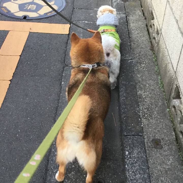 3c6f8de2 4fa9 49ff 81f3 691f2f221f35 1586078411224