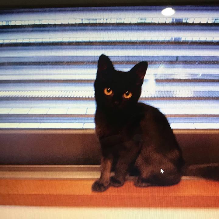 3c6f9a42 db5b 413d 99e5 b6f056159b38 1581157939616