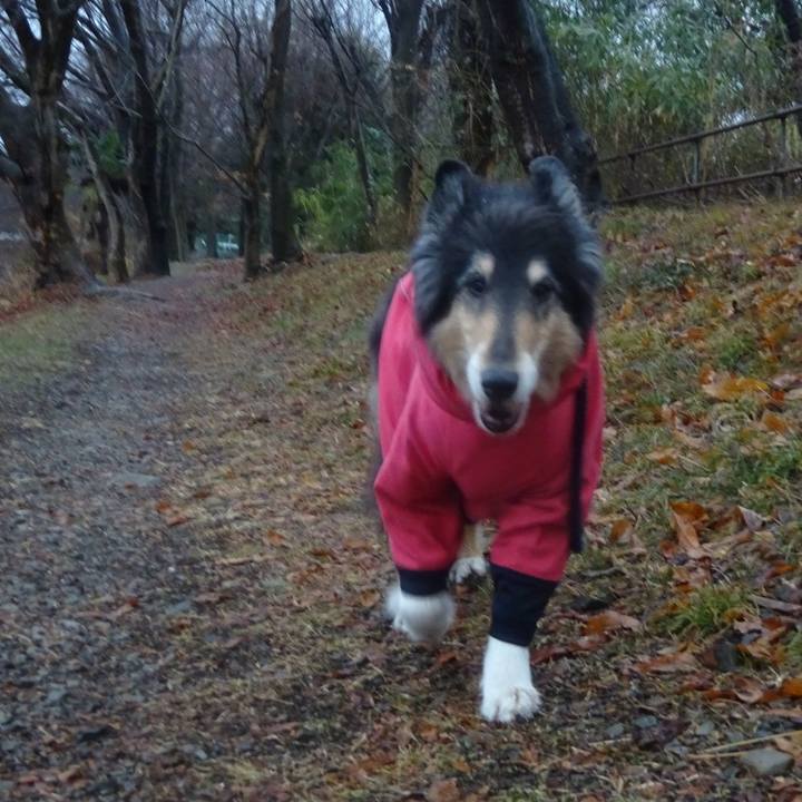 3c6fa477 1090 4f72 aaf7 6a64a590bf67 1611480741262