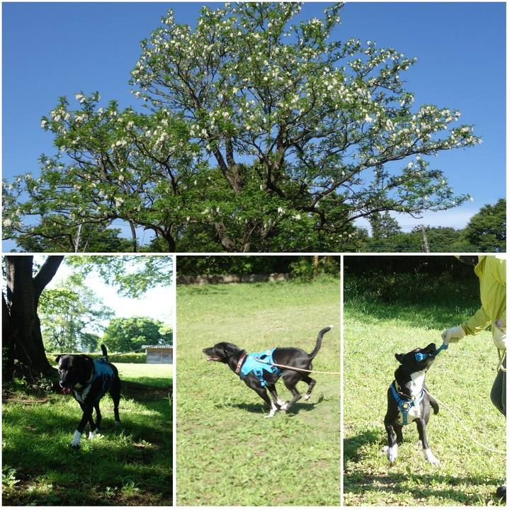 3c6fc542 608f 4345 bf96 431fbdcde2a6 1620000559659