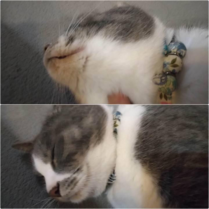 3c6ffaab 5e23 4150 8a01 bbac359cb0af 1682760909357