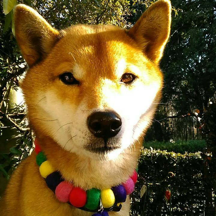 3c6ffd39 6078 4d18 891a a27022a6420c 1547704404358