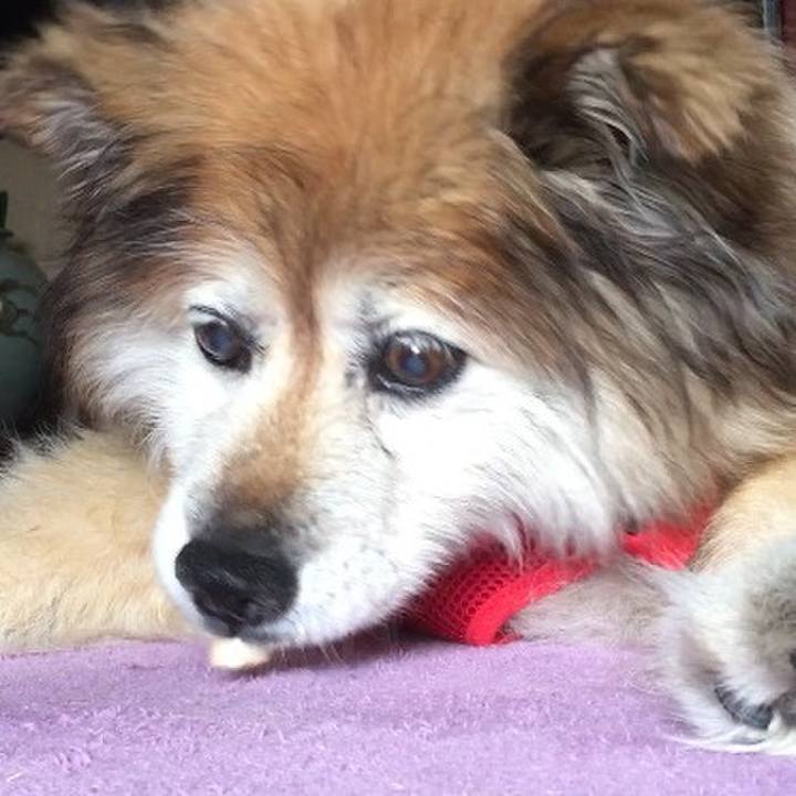 3c700890 6bf1 4b40 a8f6 bcbc5c54607e 1603819358357