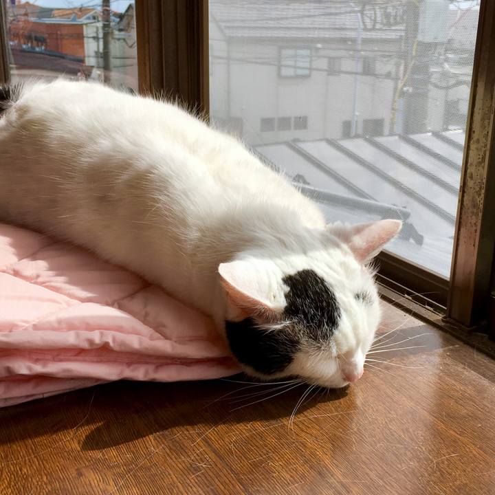 3c7034ca 2765 4a8a a0b9 6da6517d26c6 1568976606531