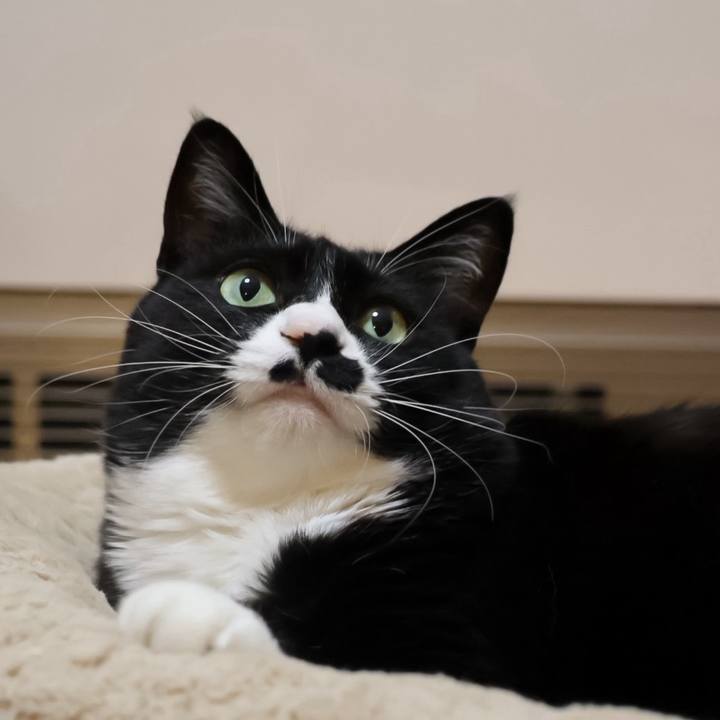 3c7040ef 0fa8 4924 9971 4c2c57dea282 1767241324526