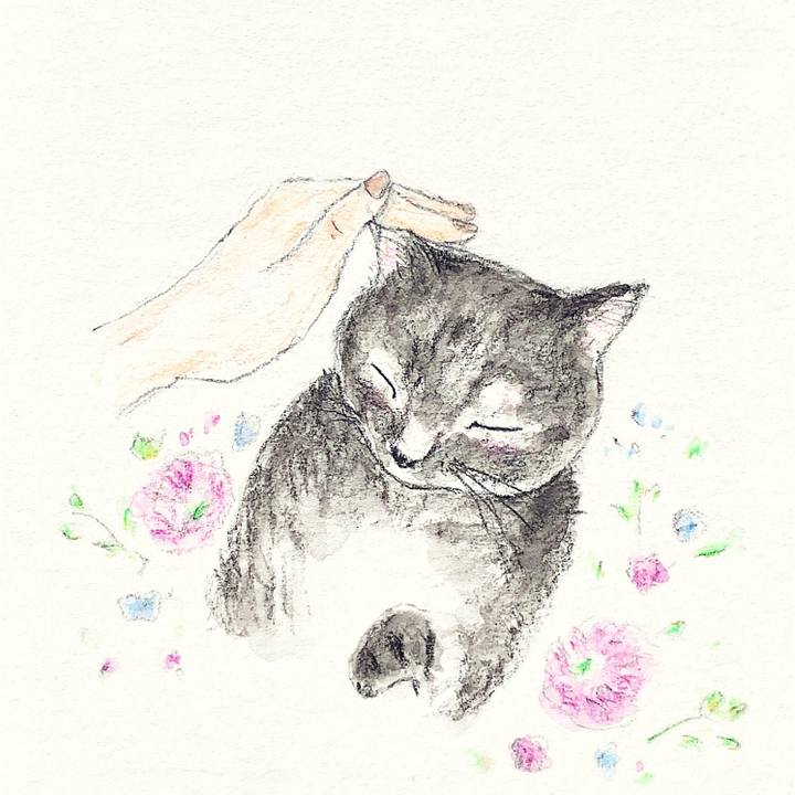 3c7076e3 be2d 4665 a859 6293cfdbcfd8 1654302031972