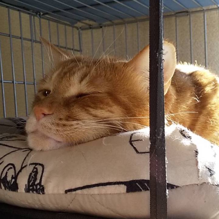 3c70ac06 1aad 4e14 99ce 091b6af16419 1583584229503