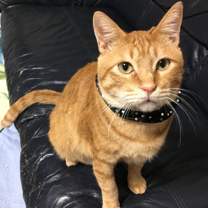 3c70b2f7 b120 447c aec9 0d6a01757de2 1540465633905