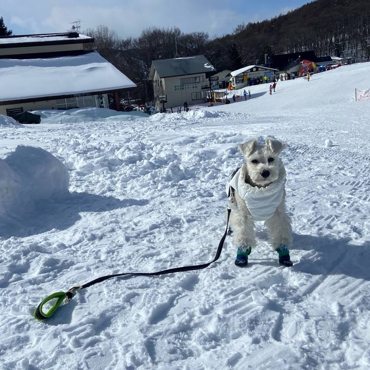 3c70bee0 8245 4e8b 8928 e20429ce1189 1769954806958