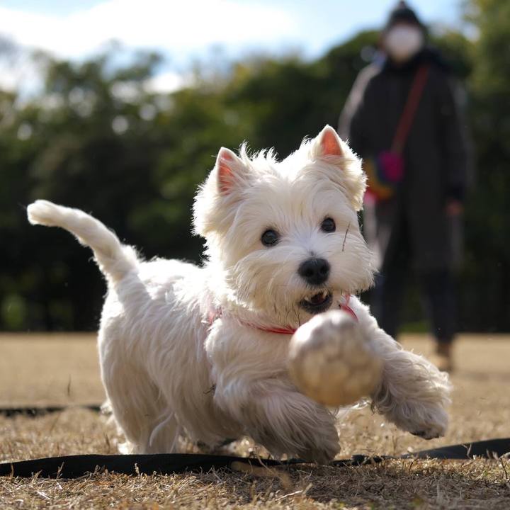 3c70c5f3 1aa7 4996 81e4 aeb7b814c615 1514555088926