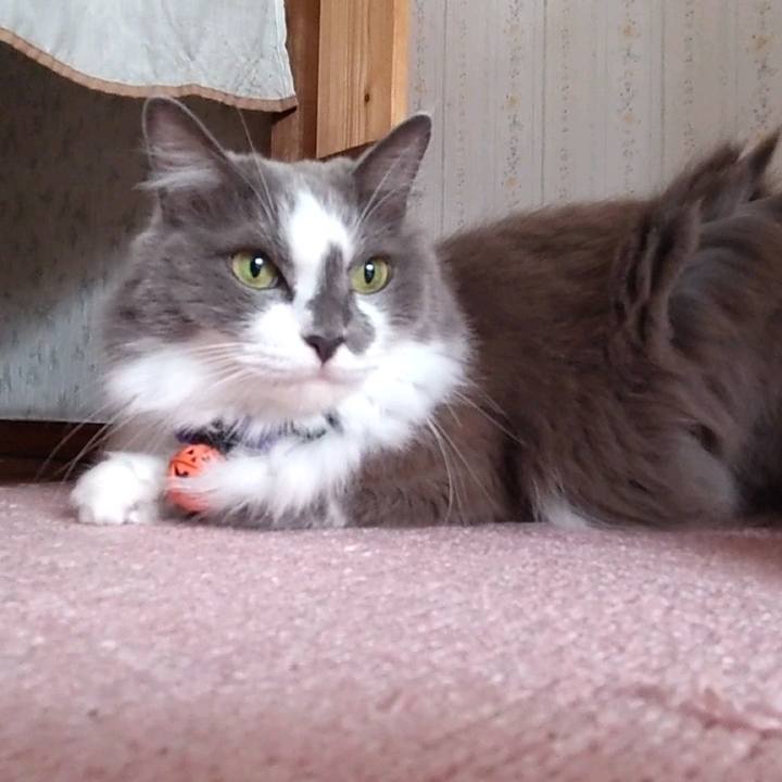 3c70e741 be75 4fb6 9e47 2a912c847841 1727242658093