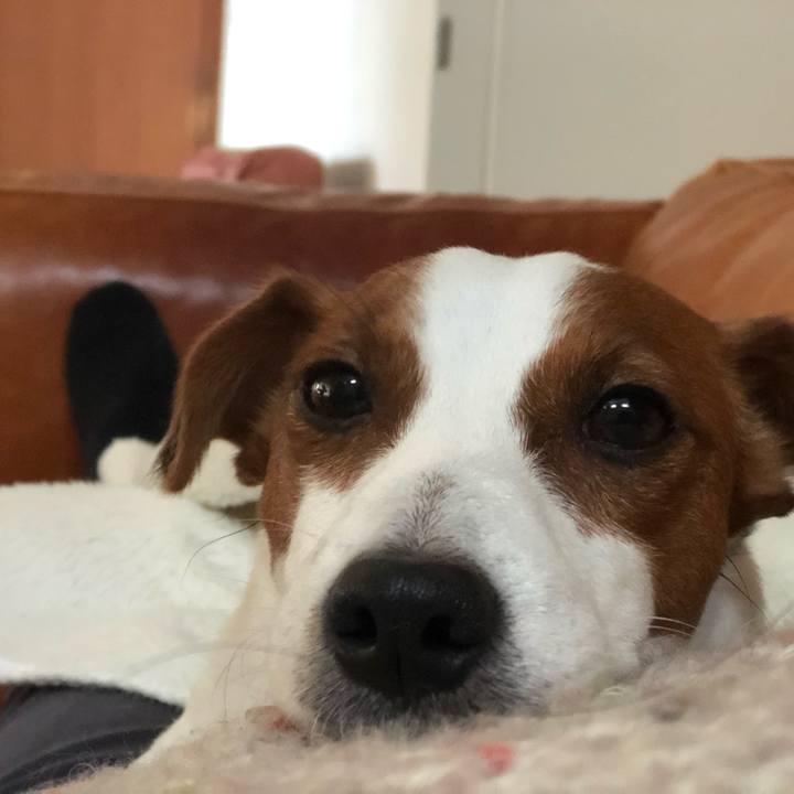 3c70ef51 00b4 4e5d a0a9 c62e46cf1ac8 1578646322206