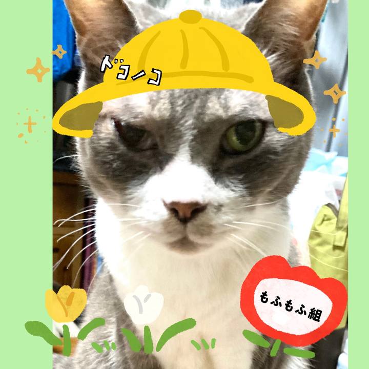 3c710010 1ba8 4dc5 bc0a 55f6a8ad36f5 1712652889884