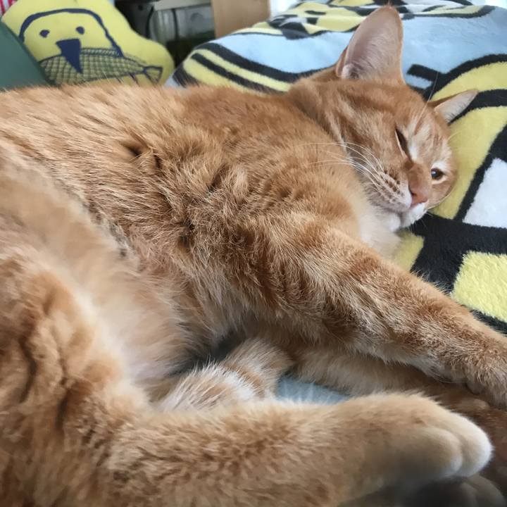 3c713eb1 2d0f 4dca 932b eedae645c68d 1547773798200