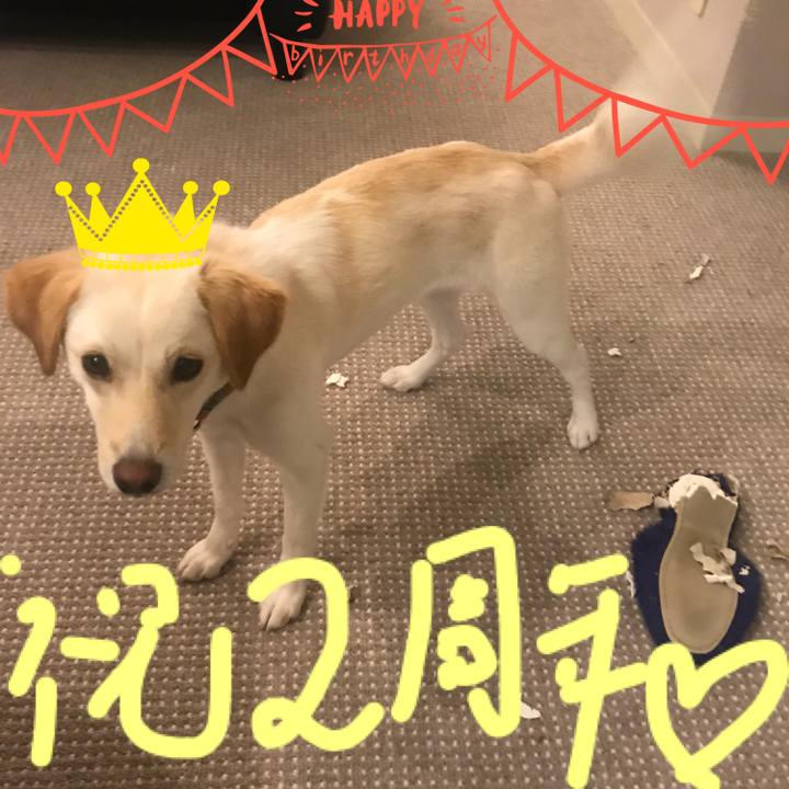 3c7152a6 97bd 4be5 83f2 3960e0b7bb00 1528212133137