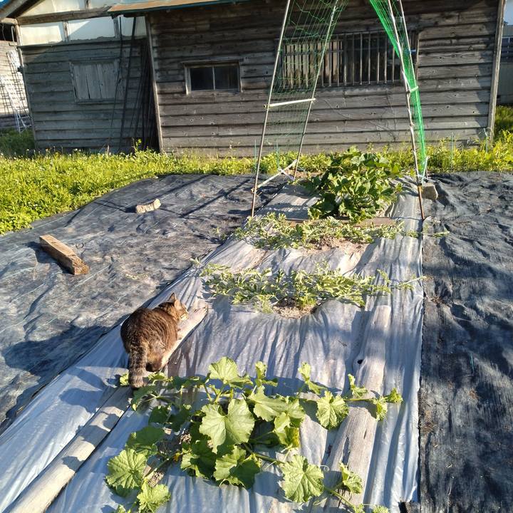 3c718893 8150 4949 85d5 7e0b789cc93a 1687256540785