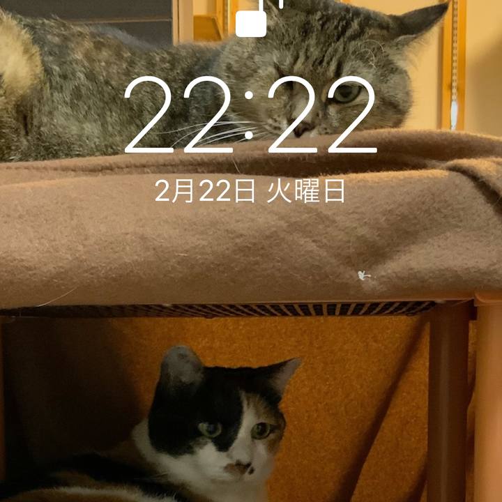 3c71889c da22 4d71 a045 68f1086bf3a1 1645536479848