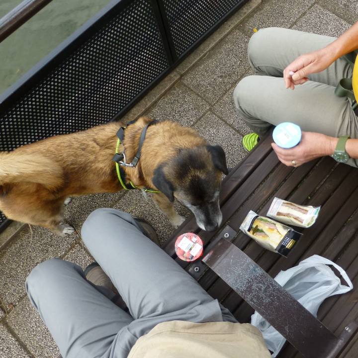 3c718d2c d6c9 40d1 9e4d 9005169df50e 1580691663618