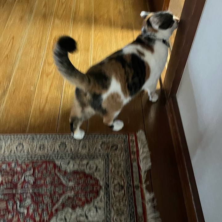 3c719d9e 4938 4029 938a 03f6e8206fa4 1773047600799