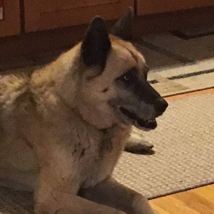 3c71a441 8106 4752 b372 ce99276772c8 1546331371536